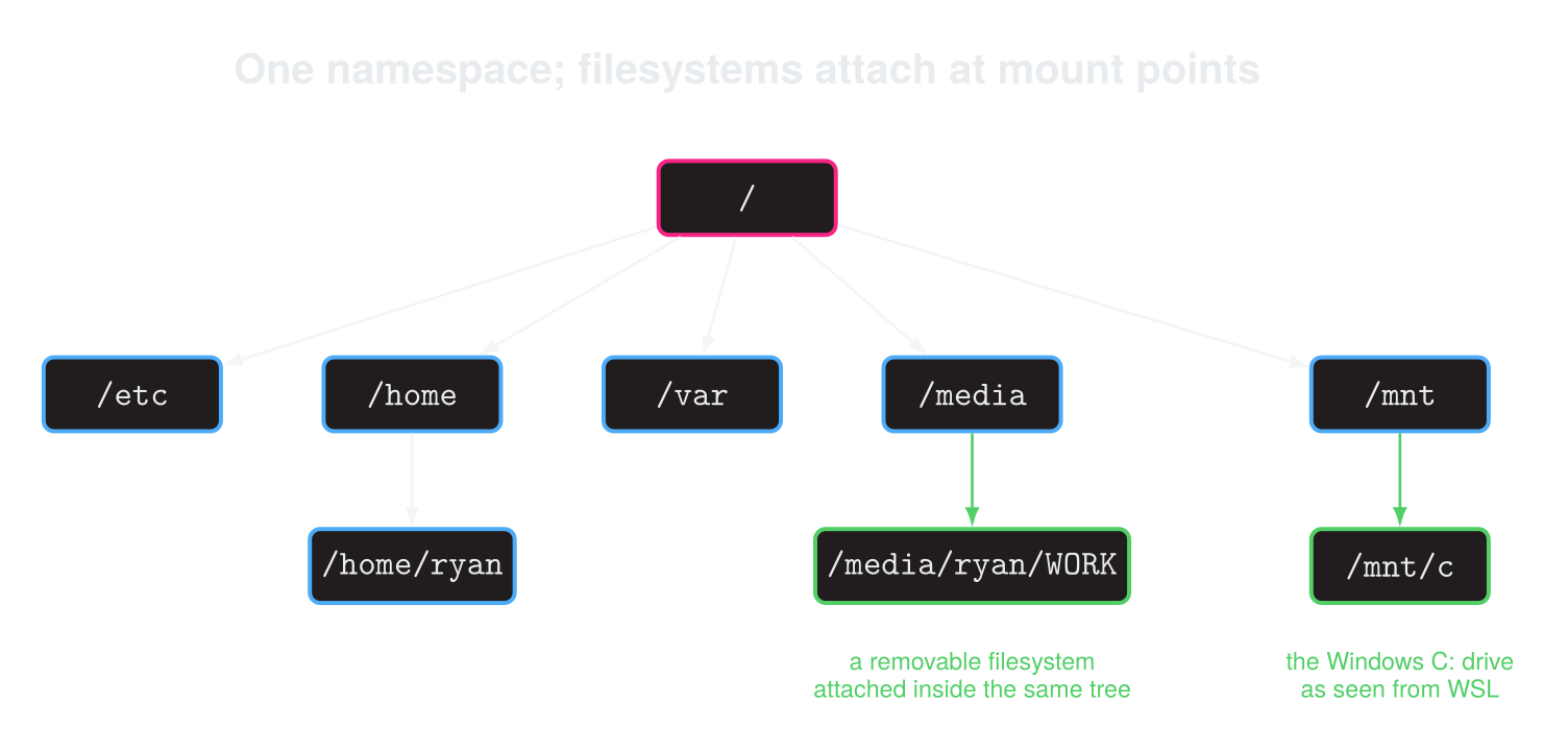A Linux filesystem tree rooted at slash, with system directories, a home directory, a removable filesystem mounted below media, and the Windows C drive mounted below mnt in WSL.